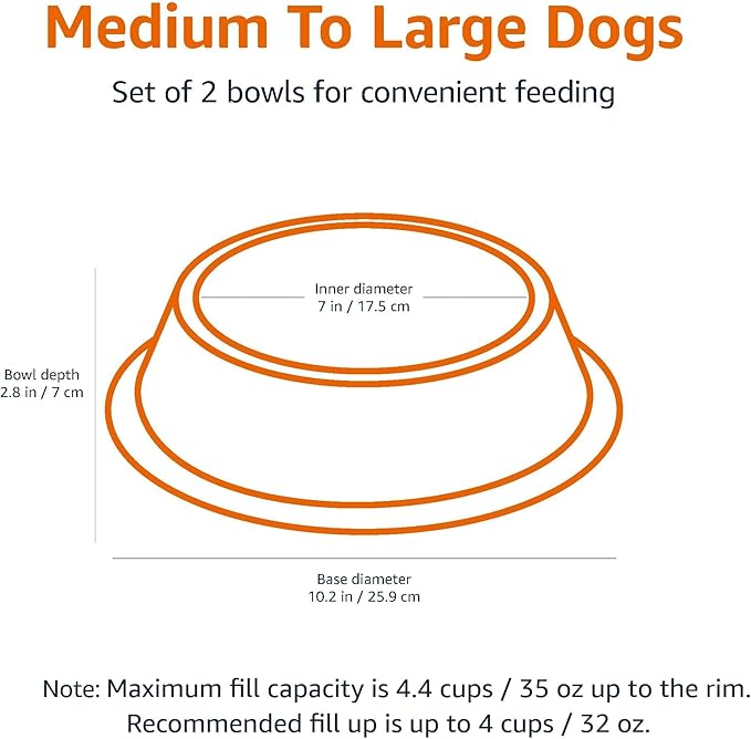 Stainless Steel Dog Bowls 2-Pack | Non-Slip Pet Food and Water Dishes for Medium to Large Dogs, 10 Inch