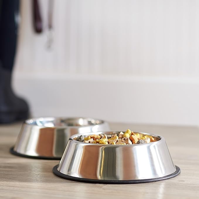 Stainless Steel Dog Bowls 2-Pack | Non-Slip Pet Food and Water Dishes for Medium to Large Dogs, 10 Inch