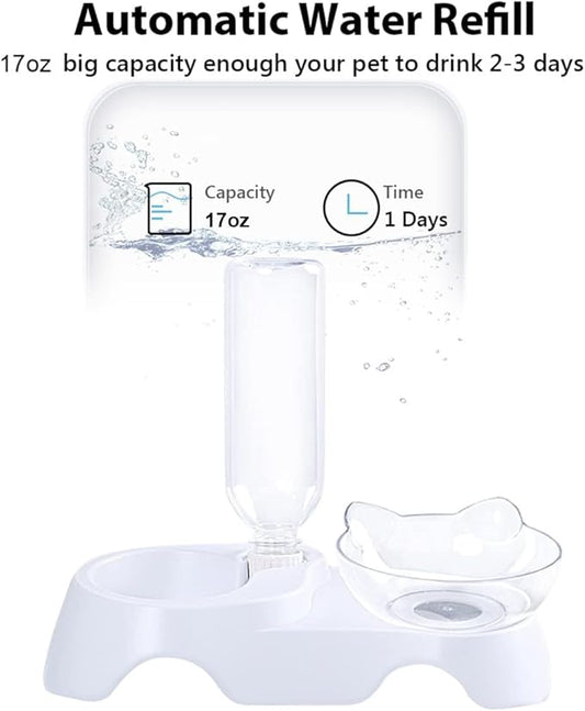 Double Dog Cat Bowls - Pets Water and Food Bowl Set, 15°Tilted Water and Food Bowl Set with Automatic Waterer Bottle for Small or Medium Size Dogs Cats