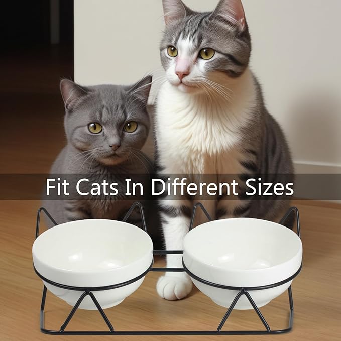 Elevated Tilted Cat Bowls for Indoor Cats，Raised Ceramic Cat Bowl Elevated 15°,Pet Feeding Bowls for Food and Water Anti Vomiting Bowl(Double Ceramics and Tilt Shelf) Suitable
