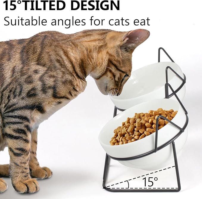 Elevated Tilted Cat Bowls for Indoor Cats，Raised Ceramic Cat Bowl Elevated 15°,Pet Feeding Bowls for Food and Water Anti Vomiting Bowl(Double Ceramics and Tilt Shelf) Suitable