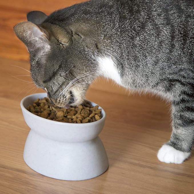 Raised Pet Bowls (Set of 2) – Non-Slip Ergonomic Food & Water Bowls for Cats and Small Dogs, 5.38 x 3.25 x 4 Inches