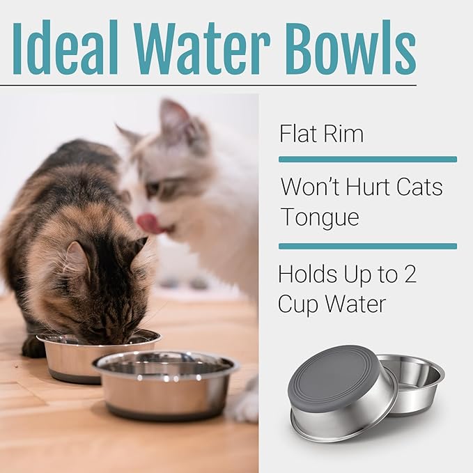 Stainless Steel Pet Bowls (Set of 2) – 5.6" Non-Slip Feeding Bowls for Cats & Small Dogs