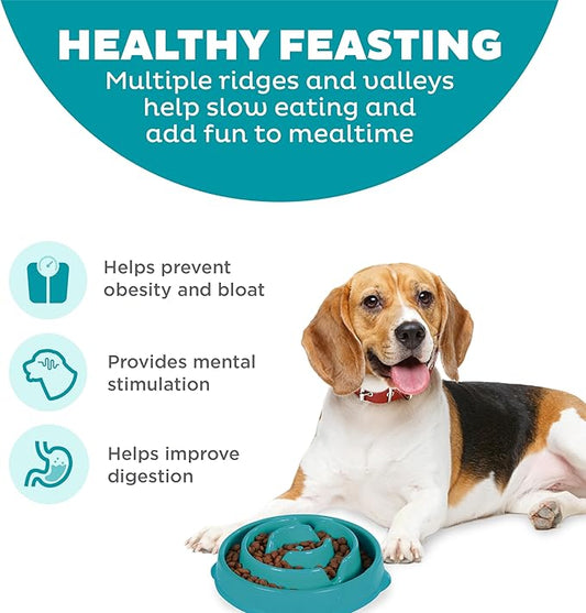 Anti-Gulping Slow Feeder Dog Bowl – Spiral Maze Design, Non-Slip Base, Ideal for Small and Medium Pets