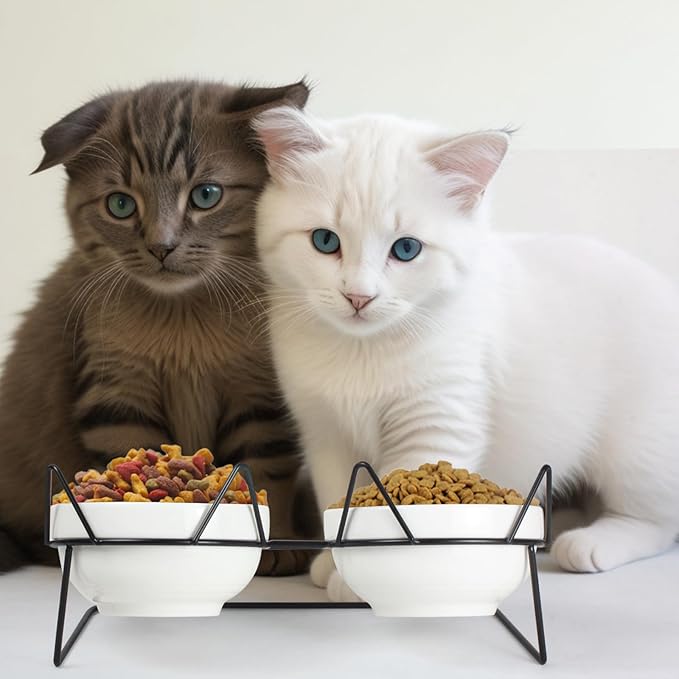 Elevated Tilted Cat Bowls for Indoor Cats，Raised Ceramic Cat Bowl Elevated 15°,Pet Feeding Bowls for Food and Water Anti Vomiting Bowl(Double Ceramics and Tilt Shelf) Suitable