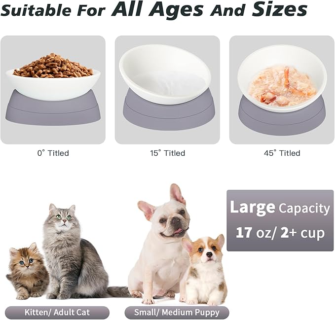 Elevated Cat Food Bowl - Adjustable, Anti-Slip & Anti-Noise, Protects Pet's Spine, Thickened Plastic, 17 Oz