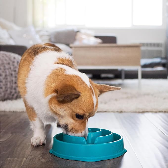 Anti-Gulping Slow Feeder Dog Bowl – Spiral Maze Design, Non-Slip Base, Ideal for Small and Medium Pets