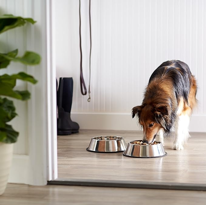 Stainless Steel Dog Bowls 2-Pack | Non-Slip Pet Food and Water Dishes for Medium to Large Dogs, 10 Inch
