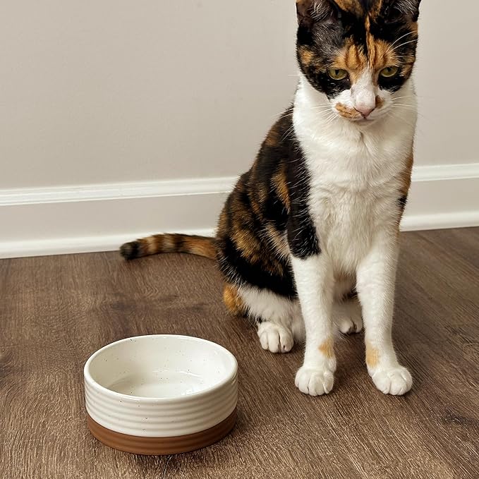 Ceramic Pet Bowl Size Small - Food/Water Dish for Puppy Dogs, Cats, Guinea Pig, Rabbit, Hamster, Snake, ect. 11oz or 2 Cups - Basic Bowls for Your Dog or Cat, Mix and Match for a Set