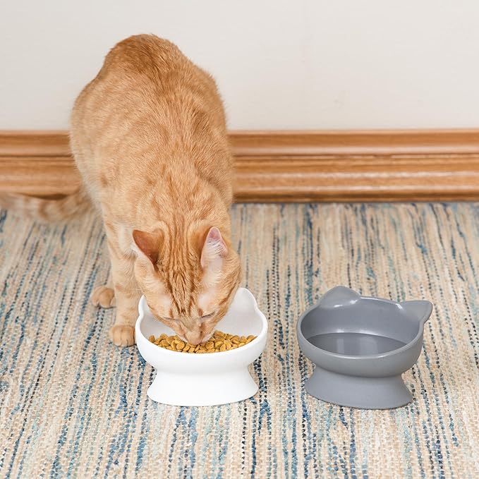 Cat Ear Raised Pet Bowl – Tilted Anti-Vomit Design, Eco-Friendly Material, Ideal for Small Dogs & Cats