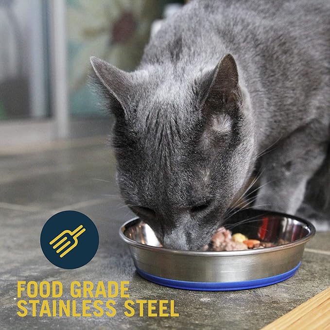 Our Pets Stainless Steel Non-Slip (Cat Food Bowl or Water Bowl) (Holds up to 1 Cup of Wet or Dry Food) Easy to Clean