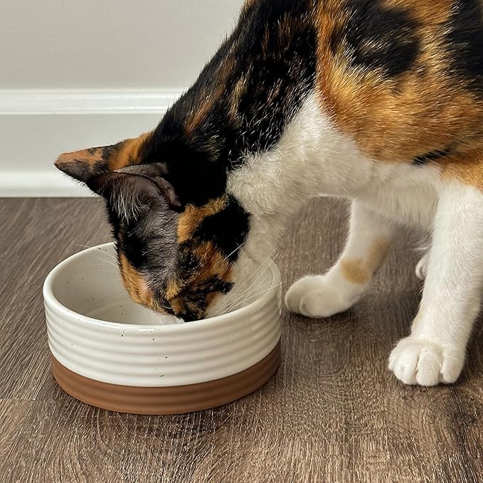 Ceramic Pet Bowl Size Small - Food/Water Dish for Puppy Dogs, Cats, Guinea Pig, Rabbit, Hamster, Snake, ect. 11oz or 2 Cups - Basic Bowls for Your Dog or Cat, Mix and Match for a Set