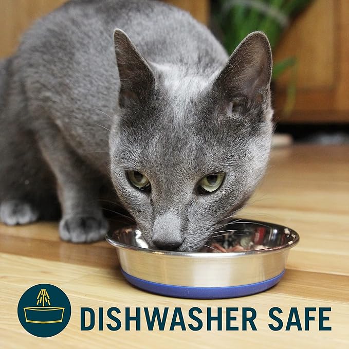 Our Pets Stainless Steel Non-Slip (Cat Food Bowl or Water Bowl) (Holds up to 1 Cup of Wet or Dry Food) Easy to Clean
